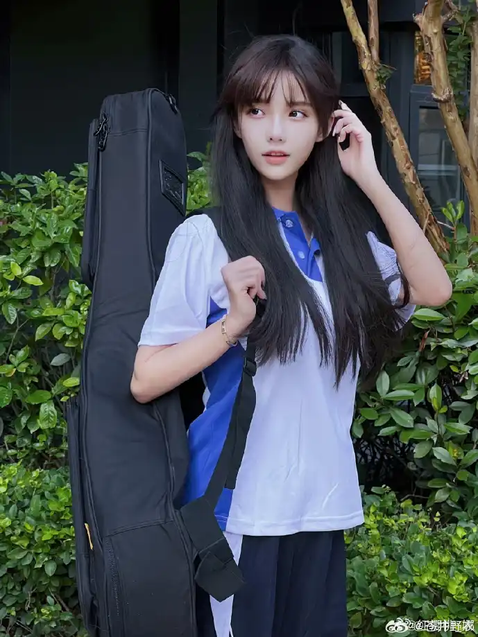 下载干扰器攻击示意图